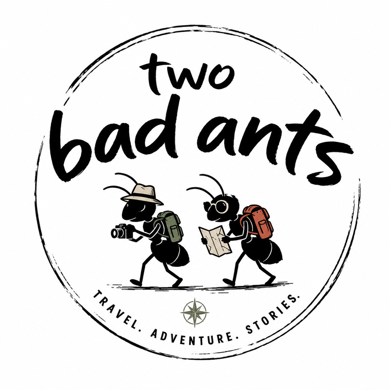 Two Bad Ants